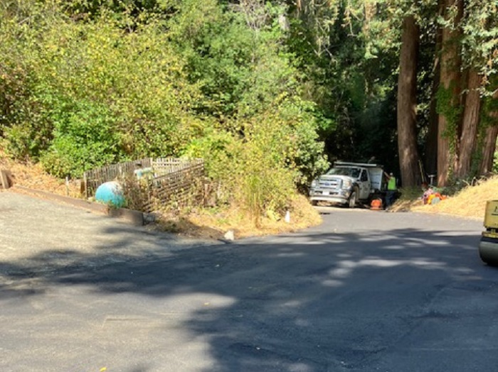 tree root driveway damage repair